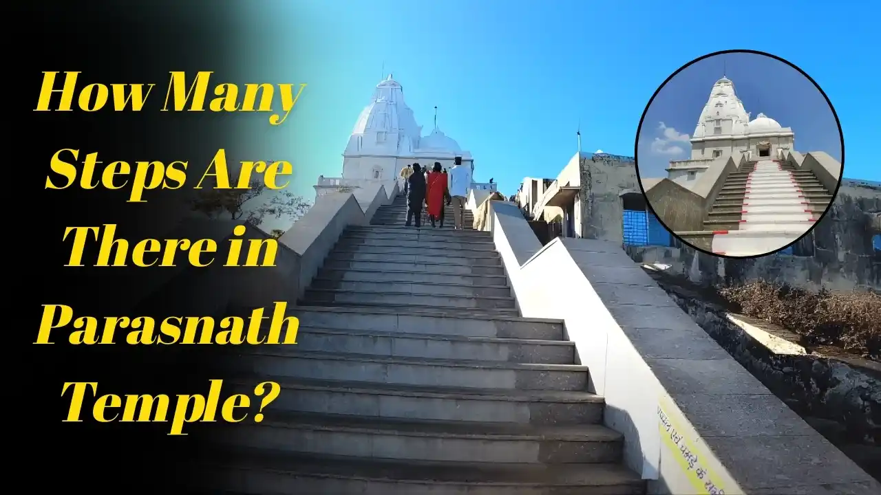 How Many Steps Are There in Parasnath Temple