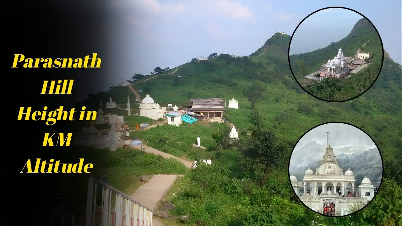 Parasnath Hill Height in KM Altitude