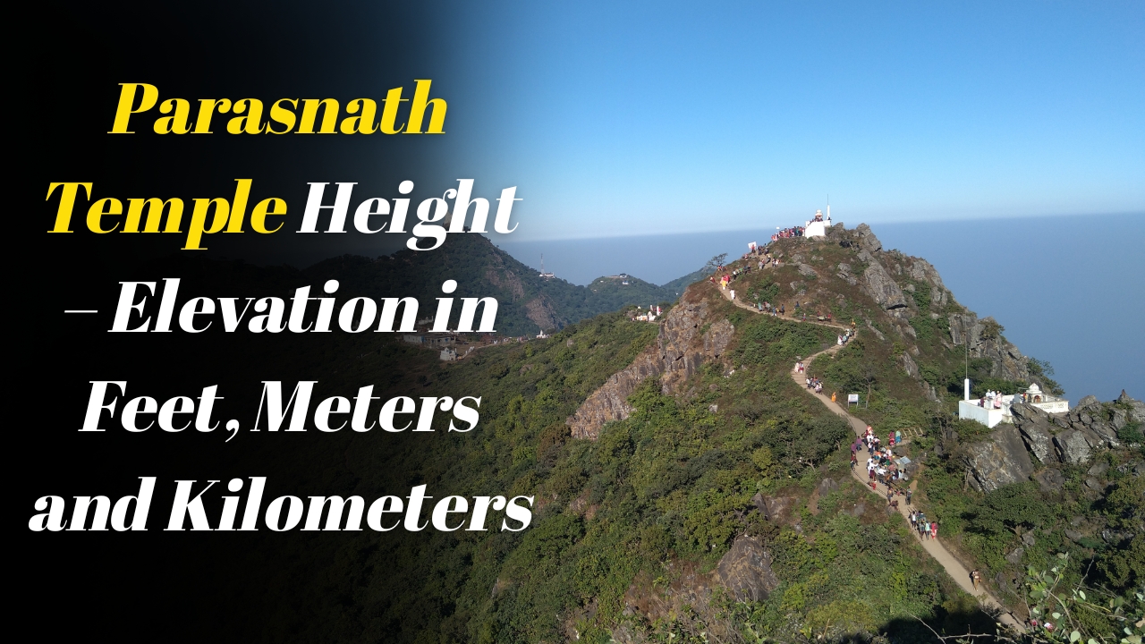 Parasnath Temple Height